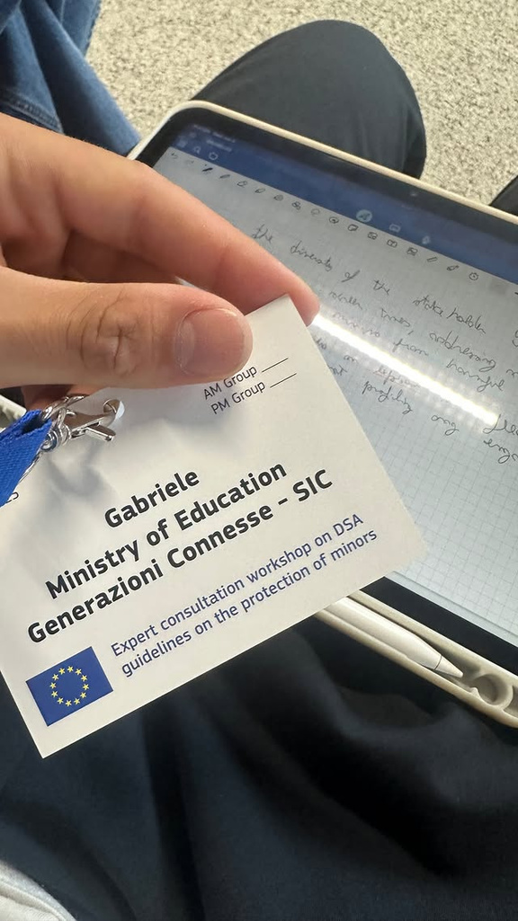 Ministry of Education badge for a DSA expert consultation workshop